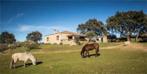 Casa Rural La Vega (Extremadura)