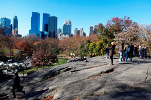 Central Park. Foto: Joe Buglewicz