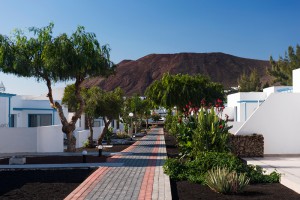 Corbeta-Lanzarote-elba