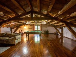 Gran Castanyer en Viladrau (Girona).