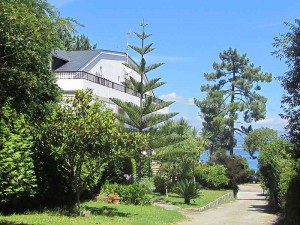 Hotel Playa Las Sinas