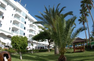 AxelBeach Maspalomas-Apartments & Lounge Bar