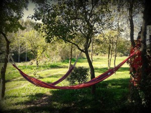 La Cirera, en Sant Boi de Lluçanès (Barcelona). Cedida por Clubrural.com