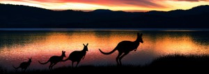 Lowcostholidays Australia