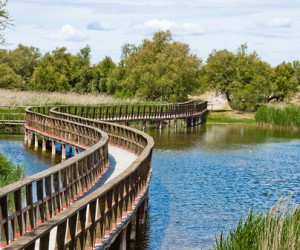 Tablas de Daimiel