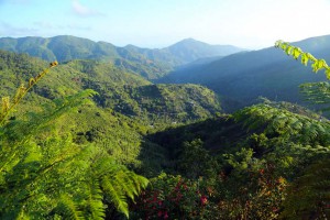 The_Blue_Mountains-jamaica