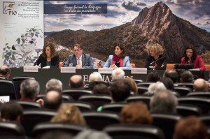 Foto: Miguel Ángel Muñoz Romero