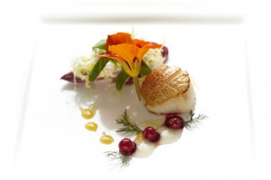 casavelha plato