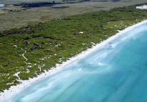 Playa de Muro. Fotografía cedida por el Ayuntamiento de Muro